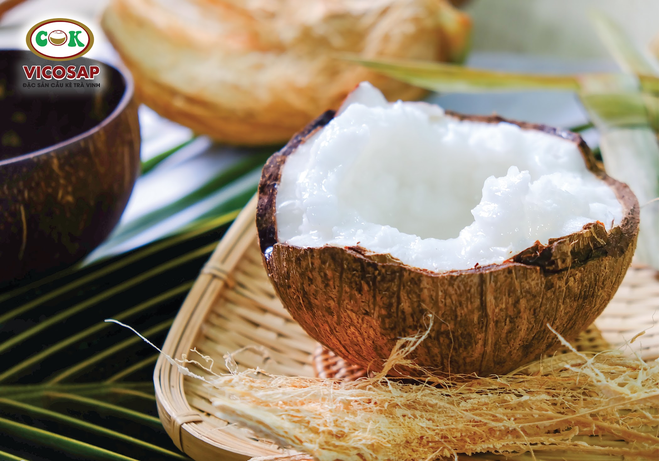 Cách trồng dừa sáp chuẩn nhất bạn nên biết