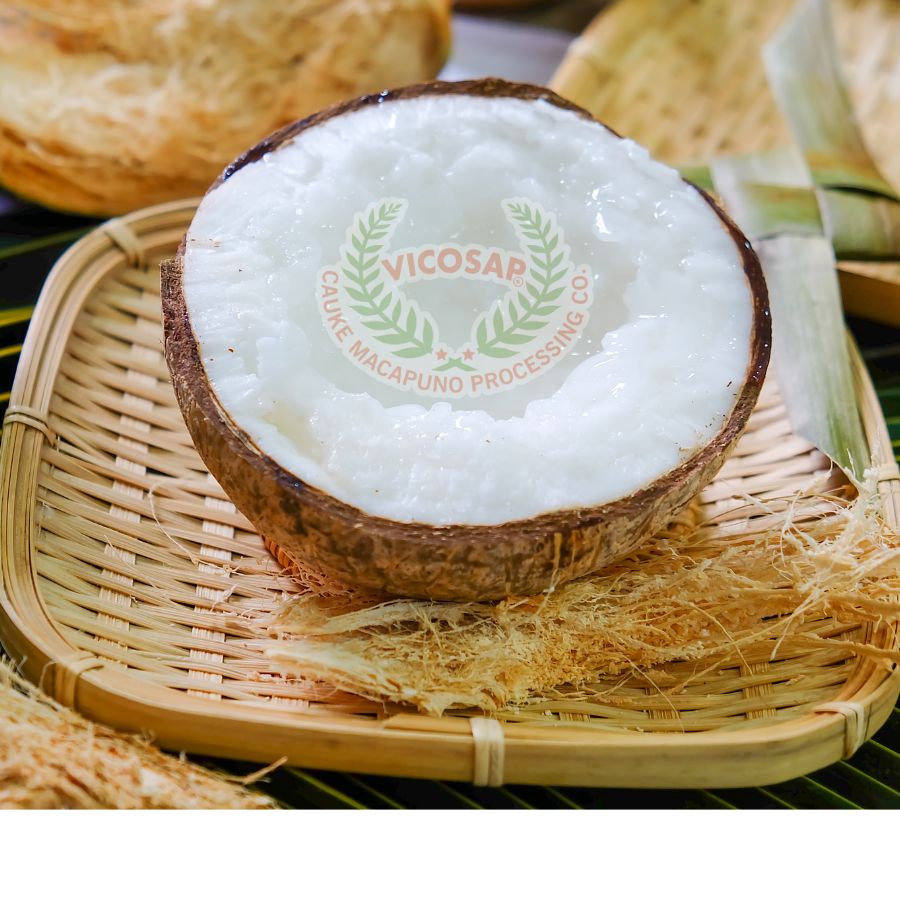 Vicosap is finding Singaporean Distributors and Wholesalers of products made from Macapuno Coconut - Tra Vinh specialty in Vietnam