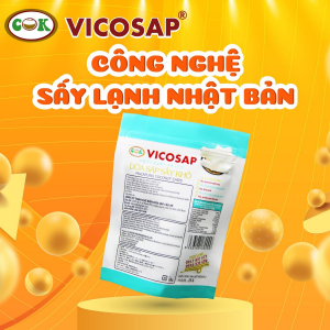 Dừa Sáp Sấy Giòn Tan Vicosap - 25G